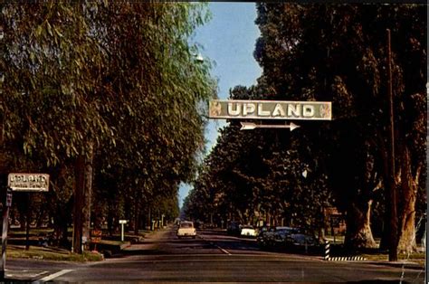 richard miller upland california euclid ave|Richard Miller from Upland High School .